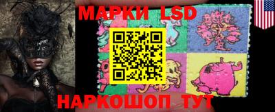 мдпв Донской