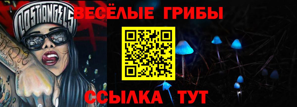 Псилоцибиновые грибы мицелий  Вход с VPN  Махачкала 